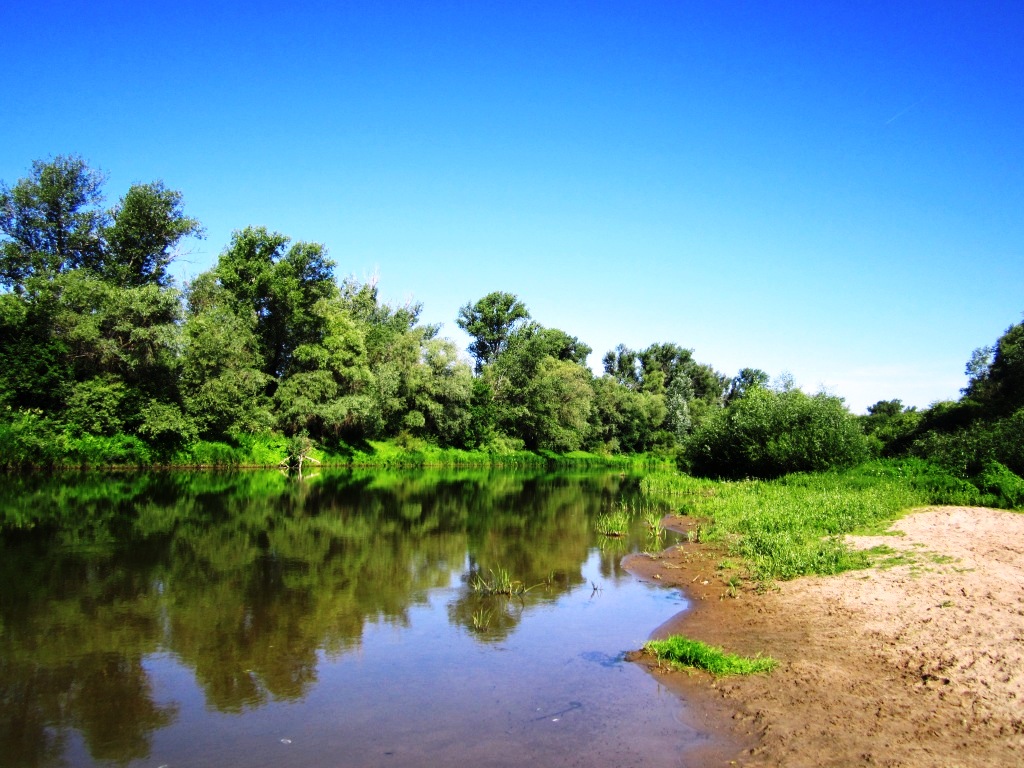 Коробов сад красный яр